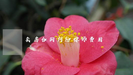 卖房合同纠纷律师费用 卖房合同纠纷律师费用