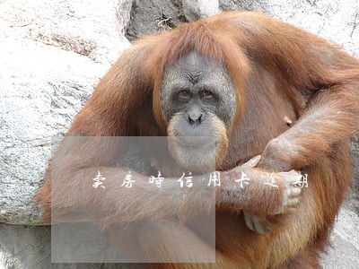 卖房时信用卡逾期 卖房时信用卡逾期