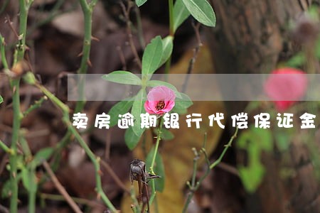 卖房逾期银行代偿保证金 卖房逾期银行代偿保证金