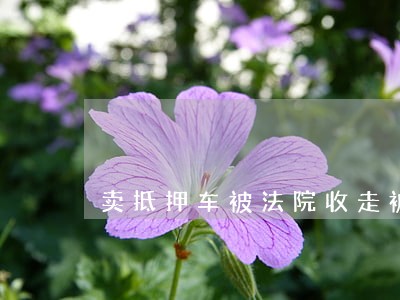 卖抵押车被法院收走被起诉 卖抵押车被法院收走被起诉
