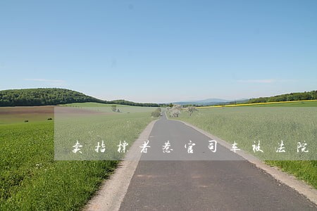 卖指标者惹官司车被法院查封 卖指标者惹官司车被法院查封