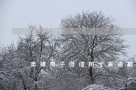 卖掉房子但信用卡有逾期 卖掉房子但信用卡有逾期