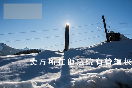 卖方所在地法院有管辖权