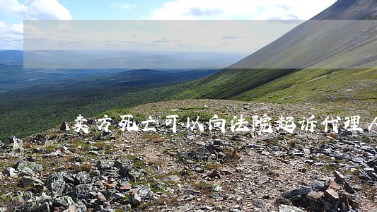 卖方死亡可以向法院起诉代理人吗