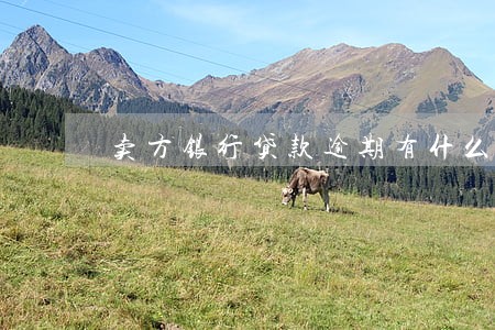 卖方银行贷款逾期有什么影响