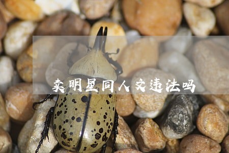 卖明星同人文违法吗 卖明星同人文违法吗