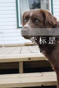 卖标是不是违法 卖标是不是违法