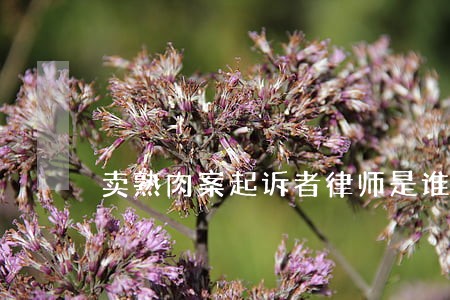 卖熟肉案起诉者律师是谁 卖熟肉案起诉者律师是谁
