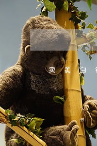 卖美白针违法吗 卖美白针违法吗
