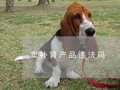 卖补肾产品违法吗 卖补肾产品违法吗