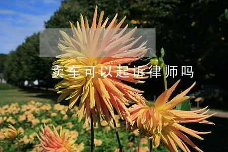 卖车可以起诉律师吗
