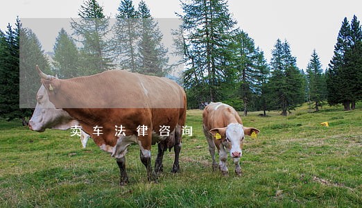 卖车法律咨询 卖车法律咨询