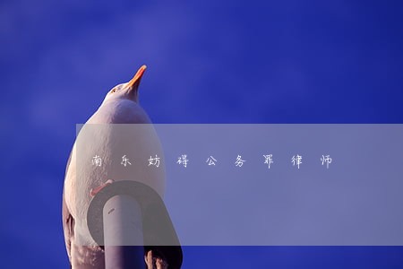 南乐妨碍公务罪律师 南乐妨碍公务罪律师