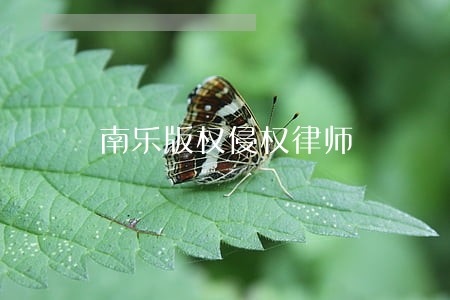 南乐版权侵权律师 南乐版权侵权律师