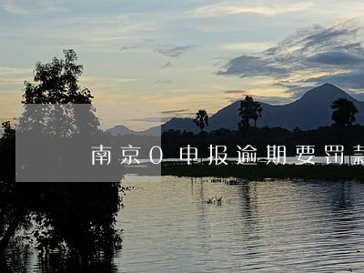 南京0申报逾期要罚款吗 南京0申报逾期要罚款吗
