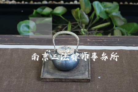 南京三法律师事务所