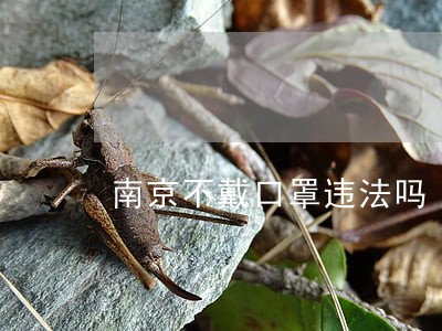 南京不戴口罩违法吗 南京不戴口罩违法吗