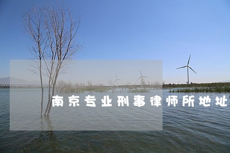 南京专业刑事律师所地址 南京专业刑事律师所地址