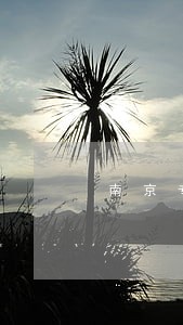 南京专业律师 南京专业律师