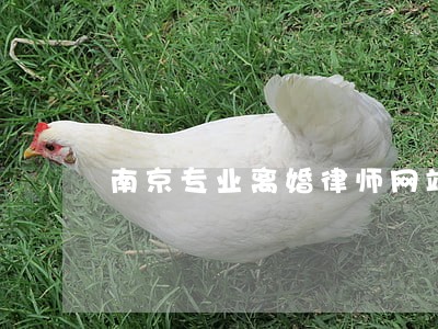 南京专业离婚律师网站 南京专业离婚律师网站