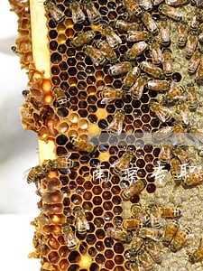 南京专职债务纠纷律师推荐 南京专职债务纠纷律师推荐
