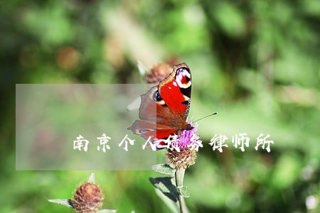 南京个人债务律师所