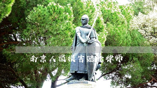 南京人损损害赔偿律师 南京人损损害赔偿律师
