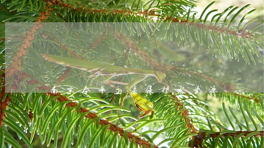 南京今年立法保护水资源 南京今年立法保护水资源