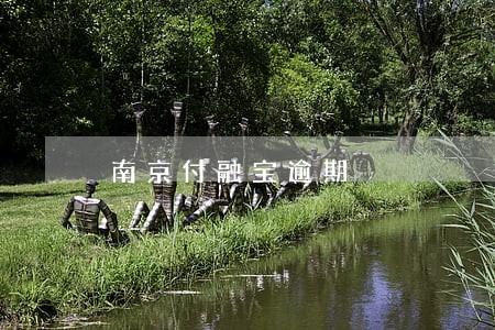 南京付融宝逾期 南京付融宝逾期