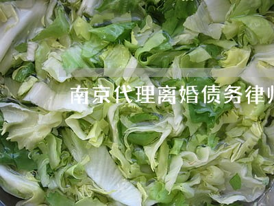 南京代理离婚债务律师面谈预约 南京代理离婚债务律师面谈预约