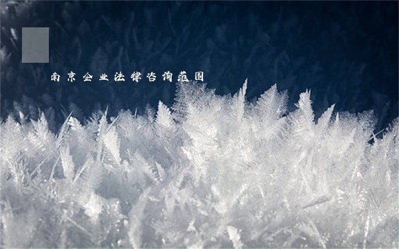 南京企业法律咨询范围 南京企业法律咨询范围