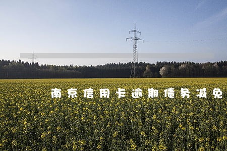 南京信用卡逾期债务减免办法流程 南京信用卡逾期债务减免办法流程