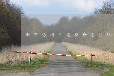 南京信用卡逾期停息挂账申请条件 南京信用卡逾期停息挂账申请条件