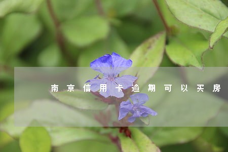 南京信用卡逾期可以买房么