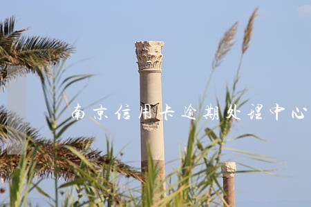 南京信用卡逾期处理中心电话 南京信用卡逾期处理中心电话