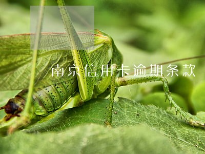 南京信用卡逾期条款 南京信用卡逾期条款