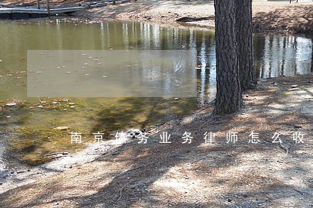 南京债务业务律师怎么收费 南京债务业务律师怎么收费