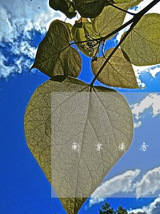 南京债务合同律师在线咨询 南京债务合同律师在线咨询