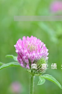 南京债务处理律师收费 南京债务处理律师收费