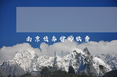 南京债务律师收费