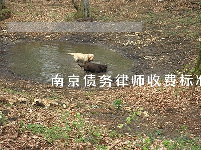 南京债务律师收费标准事务所排名 南京债务律师收费标准事务所排名
