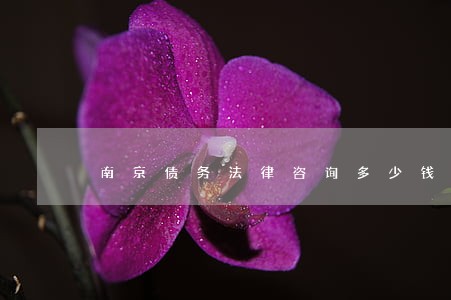 南京债务法律咨询多少钱 南京债务法律咨询多少钱