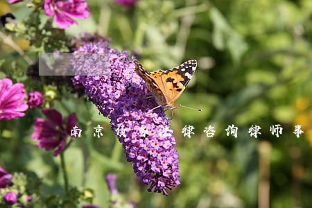 南京债务法律咨询律师事务所 南京债务法律咨询律师事务所