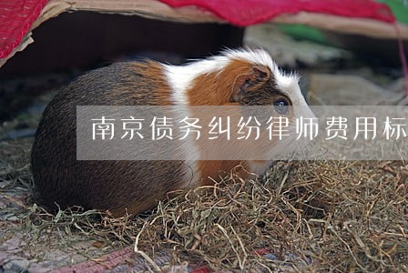 南京债务纠纷律师费用标准 南京债务纠纷律师费用标准
