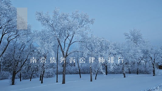 南京债务诉讼律师排行 南京债务诉讼律师排行