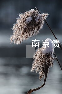 南京债务诉讼律师费用 南京债务诉讼律师费用