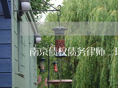 南京债权债务律师_环龙
