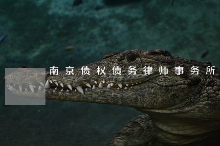 南京债权债务律师事务所 南京债权债务律师事务所
