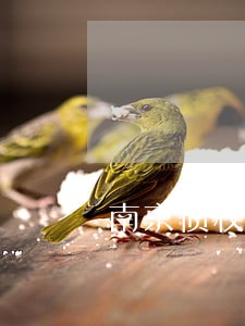 南京债权债务律师事务所在线咨询 南京债权债务律师事务所在线咨询