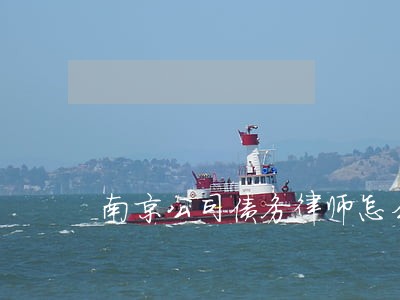 南京公司债务律师怎么委托